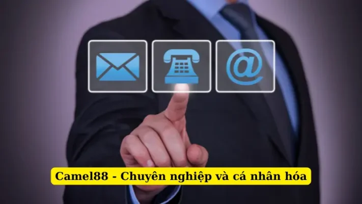 Camel88 - Chuyên nghiệp và cá nhân hóa